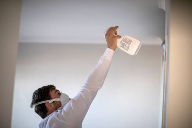 Trusted Mchenry, IL Mold Removal Experts