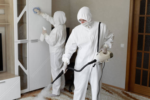 Best Local Mold Removal Service  in Mchenry, IL