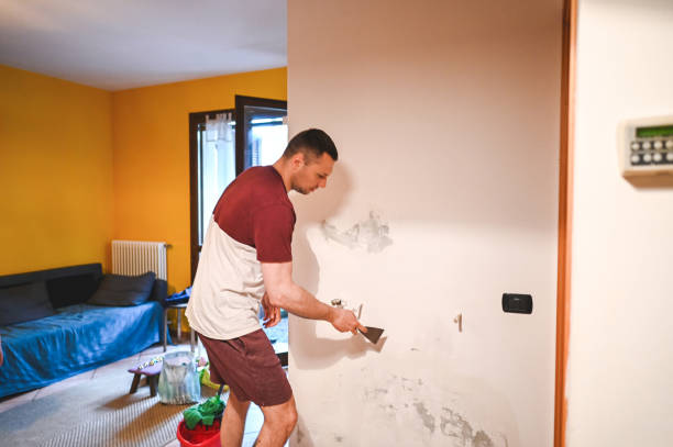 Best Mold Remediation  in Mchenry, IL